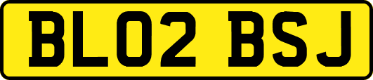 BL02BSJ