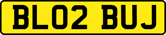 BL02BUJ