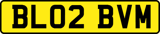 BL02BVM