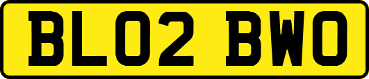 BL02BWO