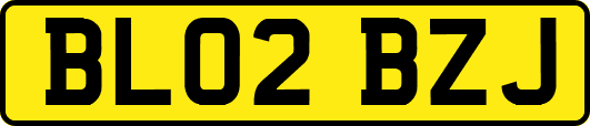 BL02BZJ