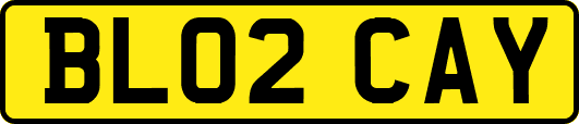 BL02CAY