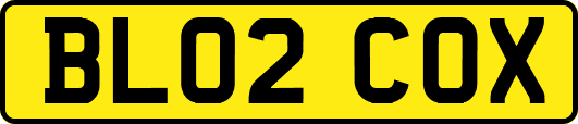 BL02COX