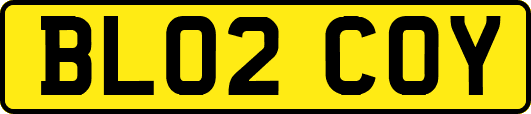 BL02COY