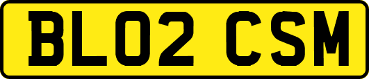 BL02CSM