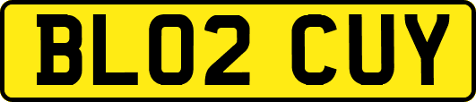 BL02CUY