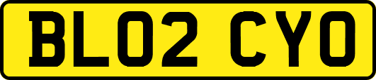 BL02CYO