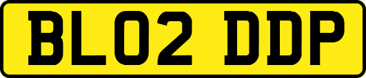 BL02DDP