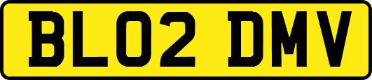BL02DMV
