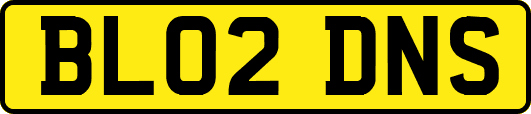 BL02DNS