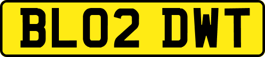 BL02DWT