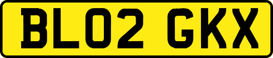 BL02GKX