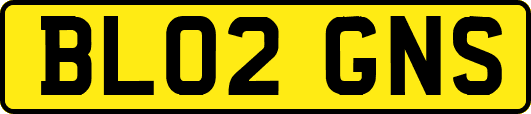 BL02GNS