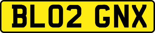 BL02GNX