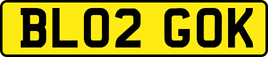 BL02GOK