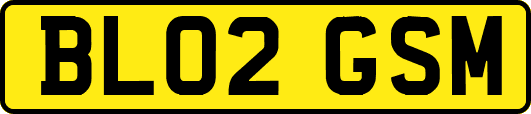 BL02GSM