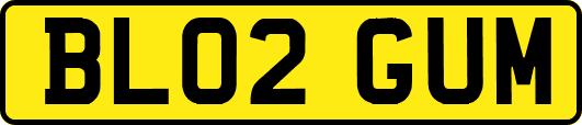 BL02GUM