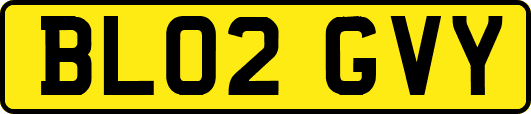 BL02GVY