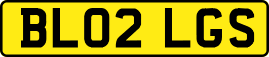 BL02LGS