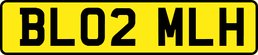 BL02MLH