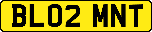 BL02MNT