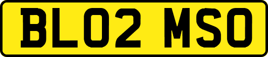 BL02MSO