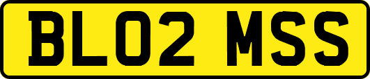 BL02MSS