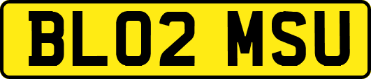 BL02MSU