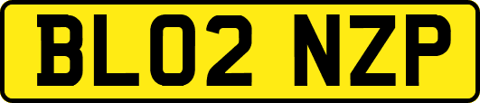 BL02NZP