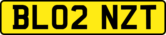 BL02NZT
