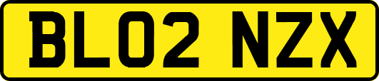 BL02NZX