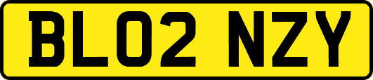 BL02NZY