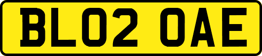 BL02OAE