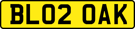 BL02OAK