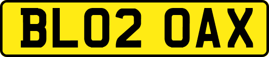 BL02OAX