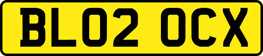 BL02OCX