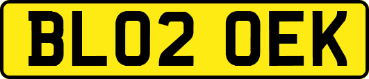 BL02OEK