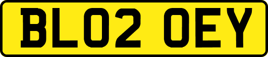 BL02OEY