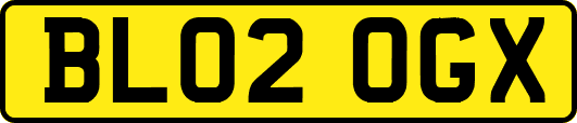 BL02OGX