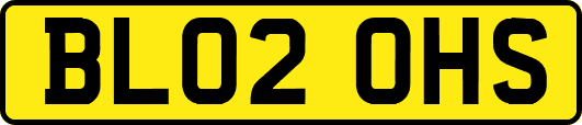 BL02OHS