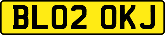 BL02OKJ