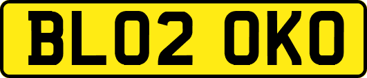 BL02OKO