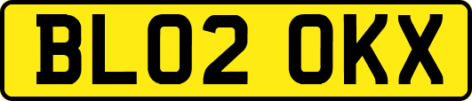 BL02OKX