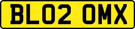 BL02OMX
