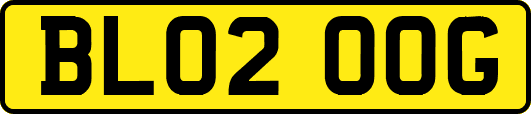 BL02OOG