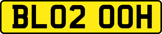 BL02OOH
