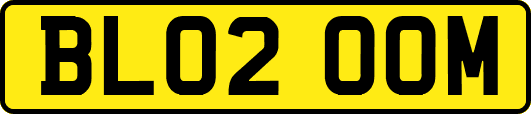 BL02OOM