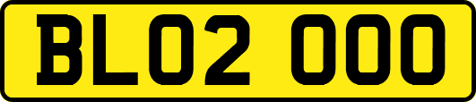 BL02OOO
