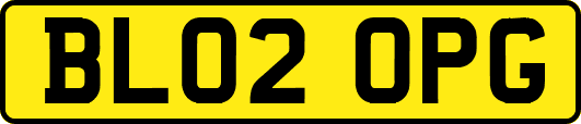 BL02OPG