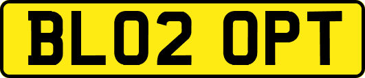 BL02OPT